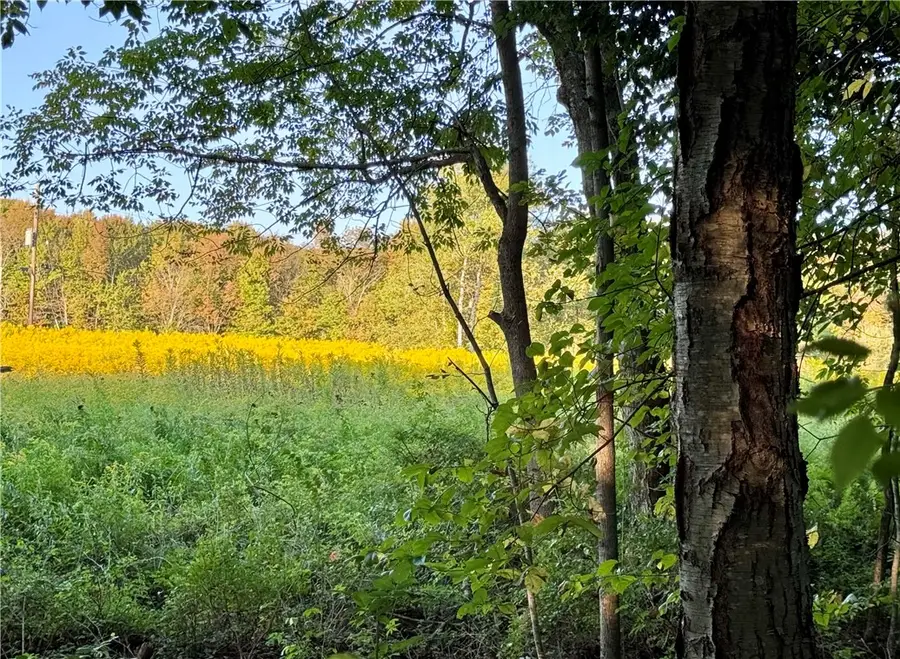 0 Campbell Road, Franklin, NY 13775 - Image #2