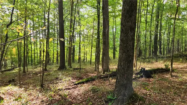 Humphrey Road, Great Valley, NY 14741