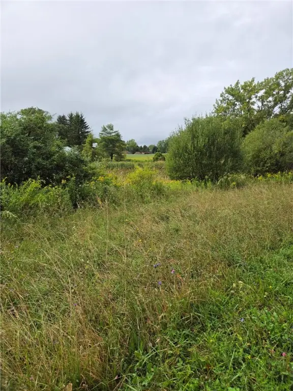 0 Richley Road, Corfu, NY 14036 - Image #3