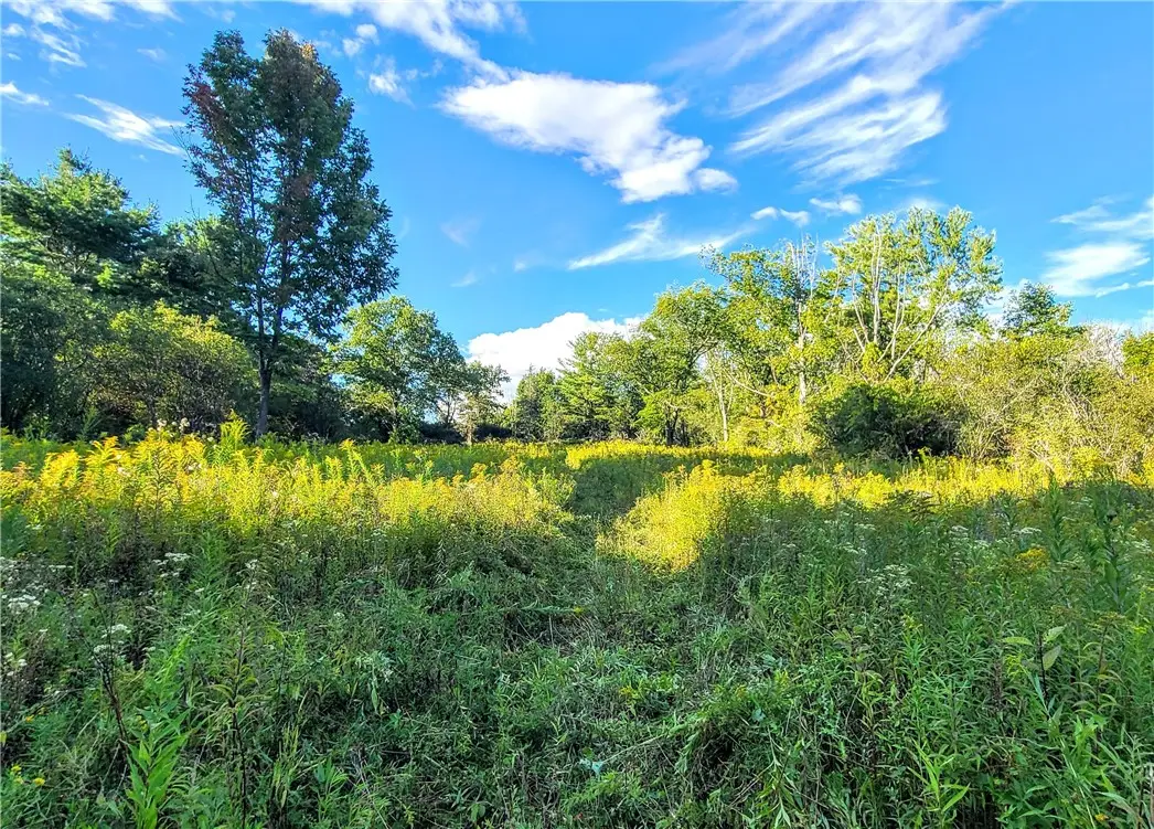 74 Cherry Road, Ithaca, NY 14850 - Image #1