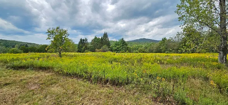 18 Casale Lane, Margaretville, NY 12455 - Image #3