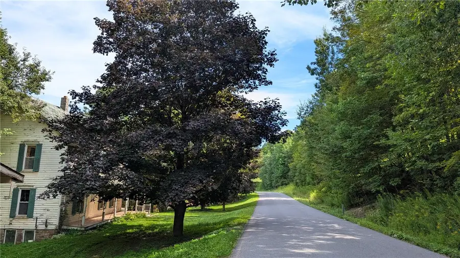 12055* Turnpike Road, East Meredith, NY 13757 - Image #3