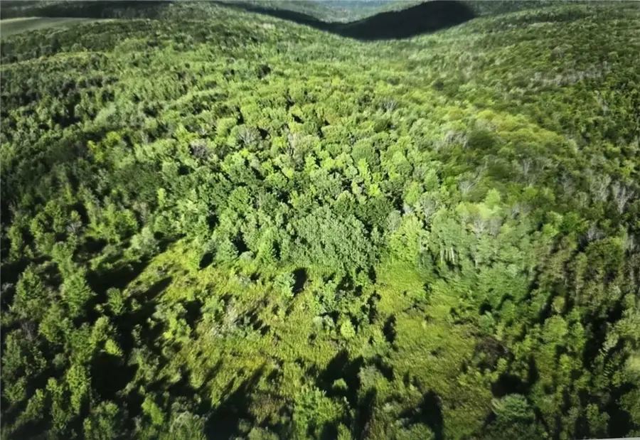 0 Call Hill Road, Andover, NY 14806 - Image #2