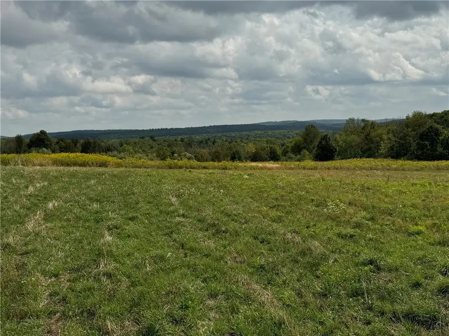 0 Terry Hill Rd, Horseheads, NY 14845 - Image #3