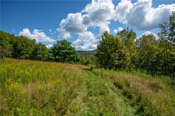 25 Depot Street Andes-delancey, Andes, NY 13731