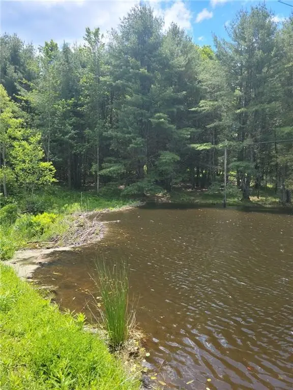 275 Holl Road, New Berlin, NY 13411 - Image #3