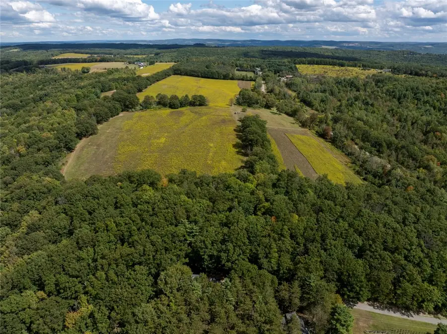 8015 Peacock Road, Bath, NY 14810 - Image #2