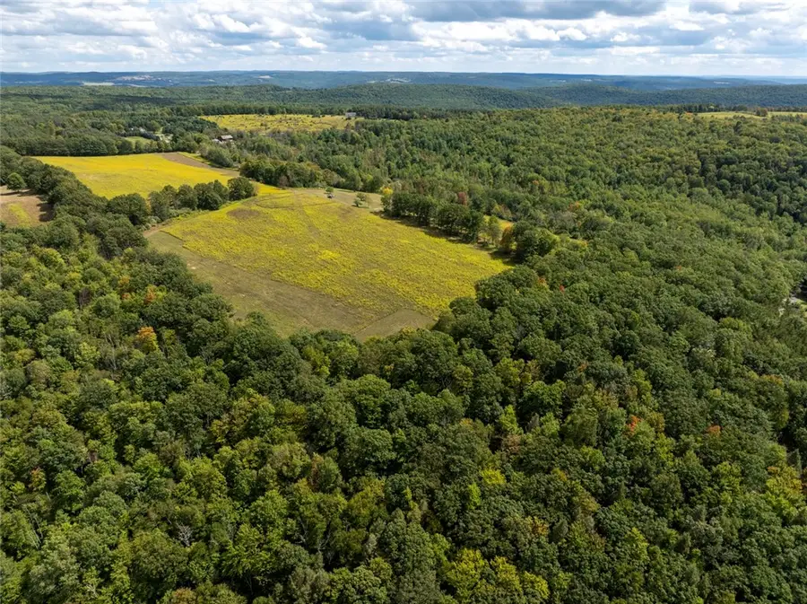 8015 Peacock Road, Bath, NY 14810 - Image #3