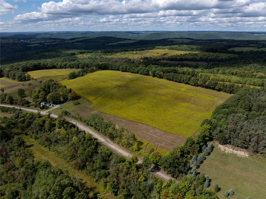 8015 Peacock Road, Bath, NY 14810 - Image #3