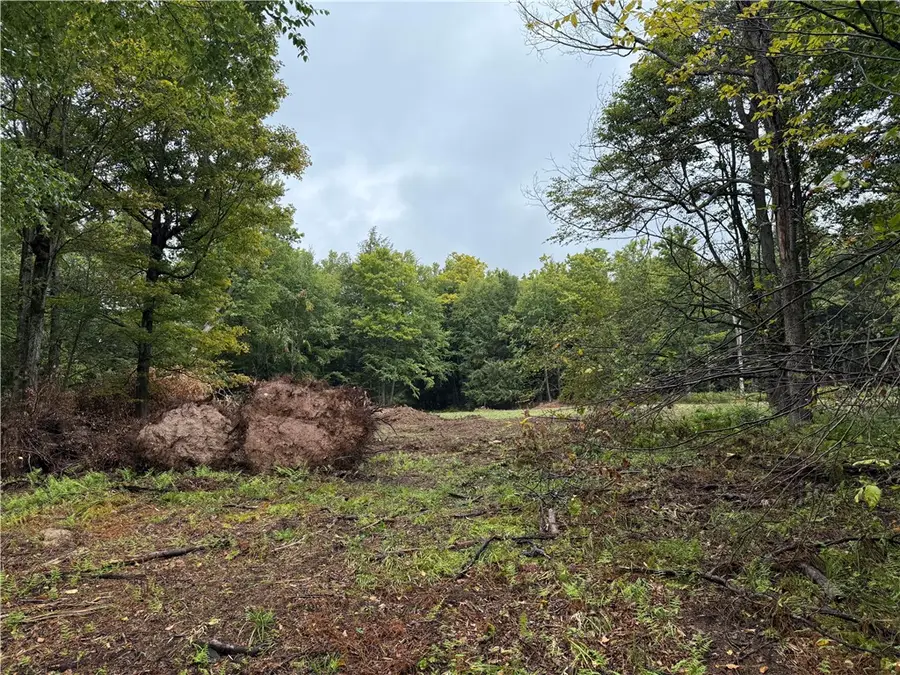 0 Alma Hill Road, Wellsville, NY 14895 - Image #3