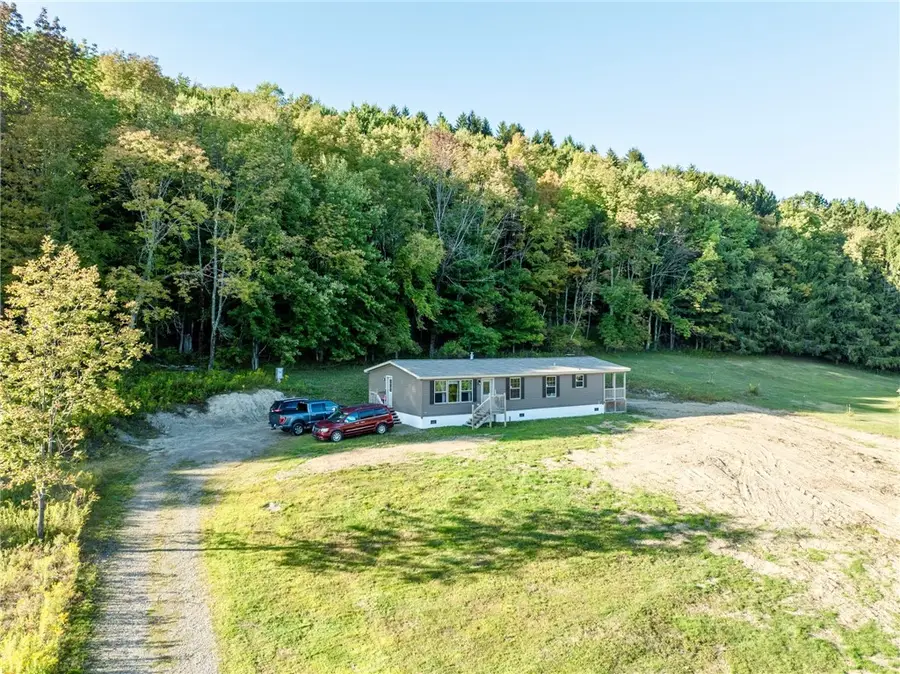 7545 Charlotte Creek Road, Davenport, NY 13750 - Image #3