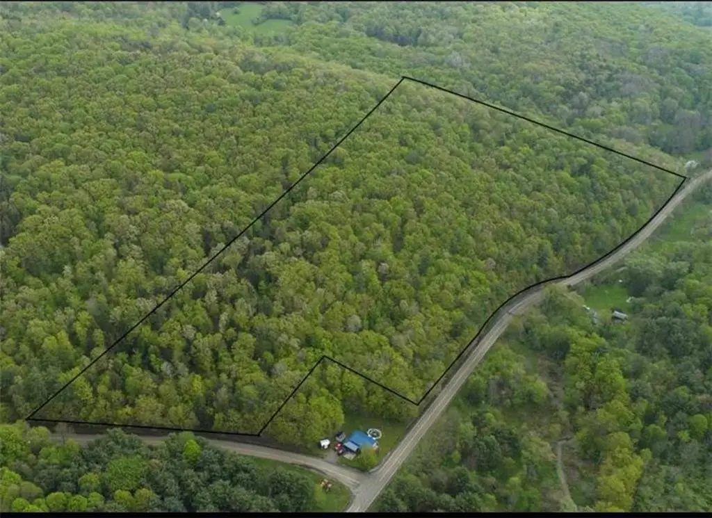 0 Johnson Hollow & Buck Mountain Road, Veteran, NY 14864 - Image #1