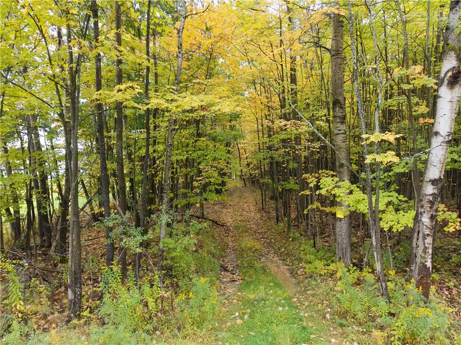 Clark Road, Hornell, NY 14843 - Image #2