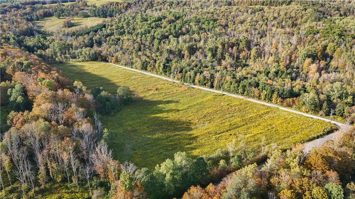 Melnyk Road, Candor, NY 13743 - Image #1