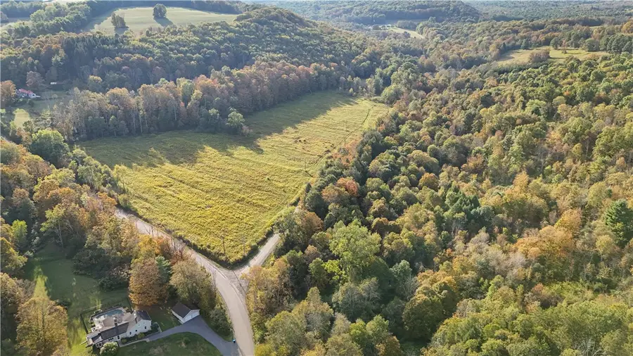 Melnyk Road, Candor, NY 13743 - Image #2