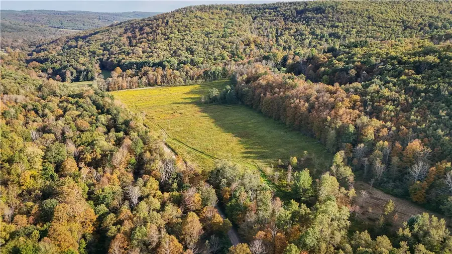 Melnyk Road, Candor, NY 13743 - Image #3