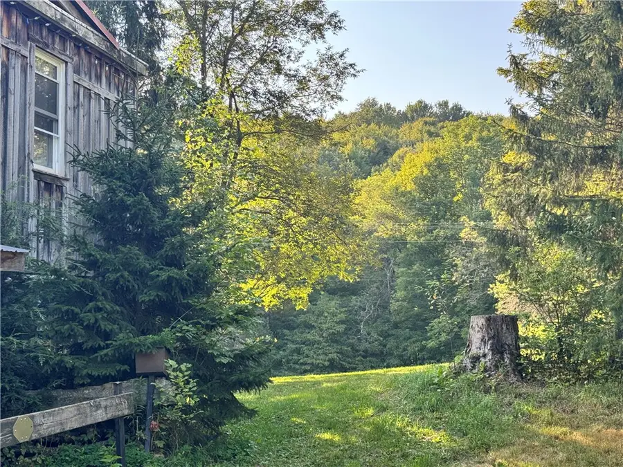 677 Frisbee Road, East Meredith, NY 13757 - Image #3