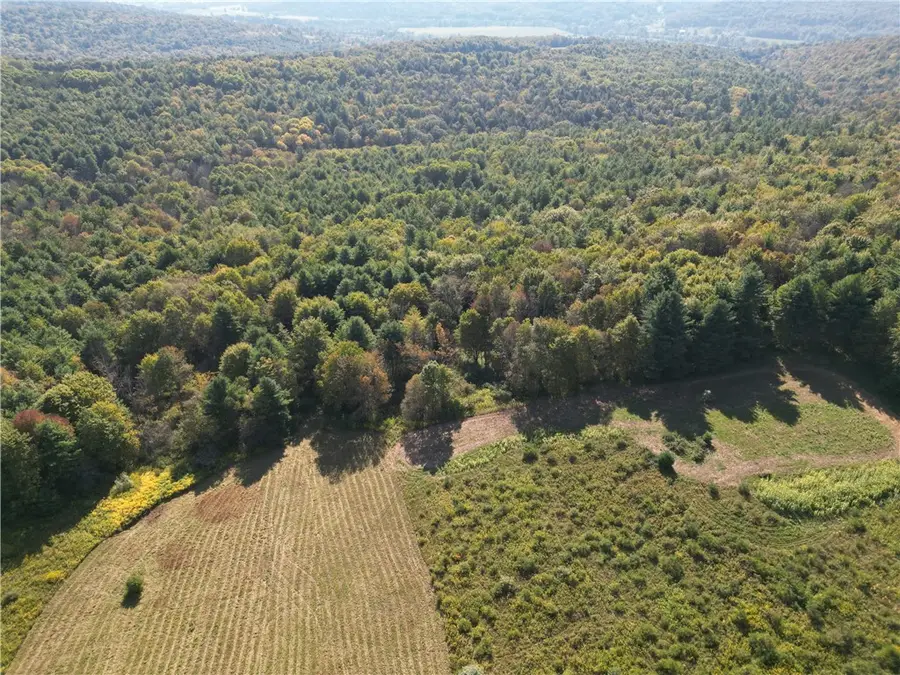 330 Tallow Hill Road, Spencer, NY 14883 - Image #3