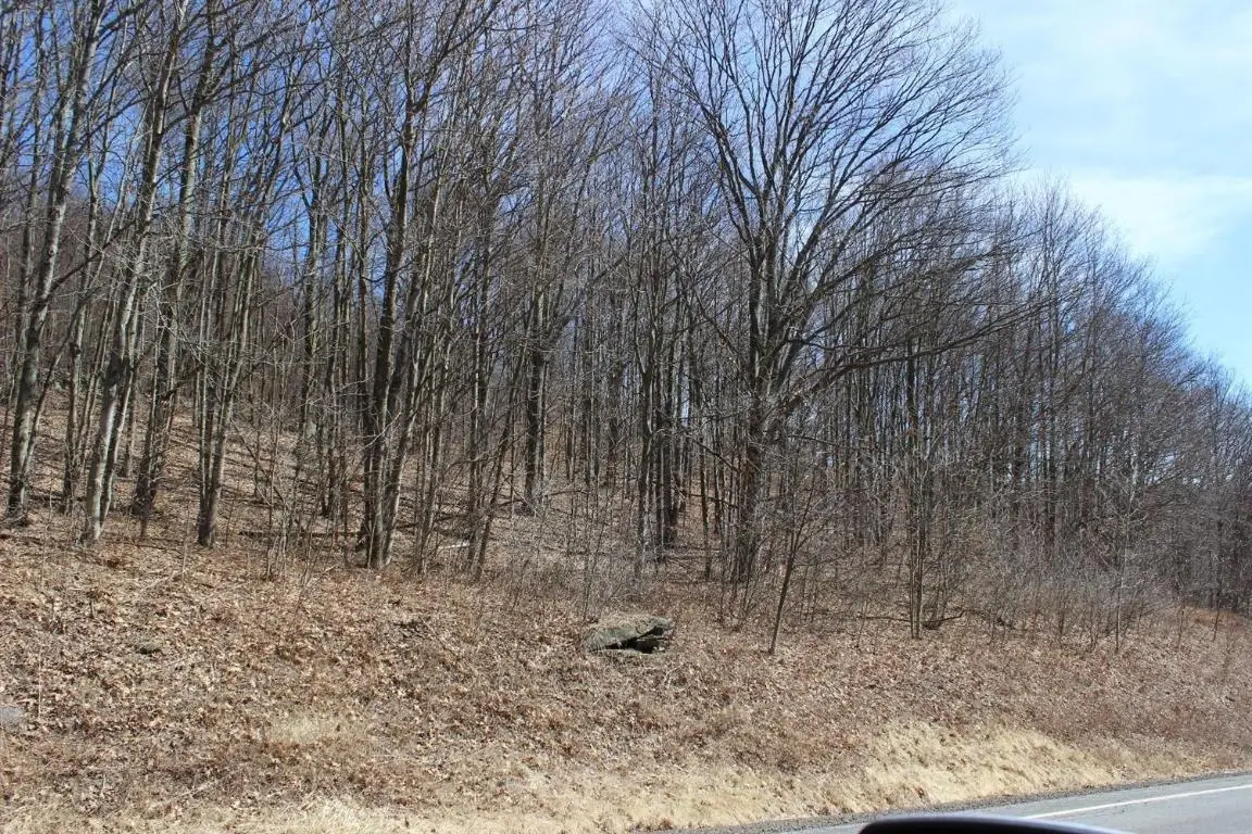 0 County Highway 26, Fly Creek, NY 13782 - Image #1