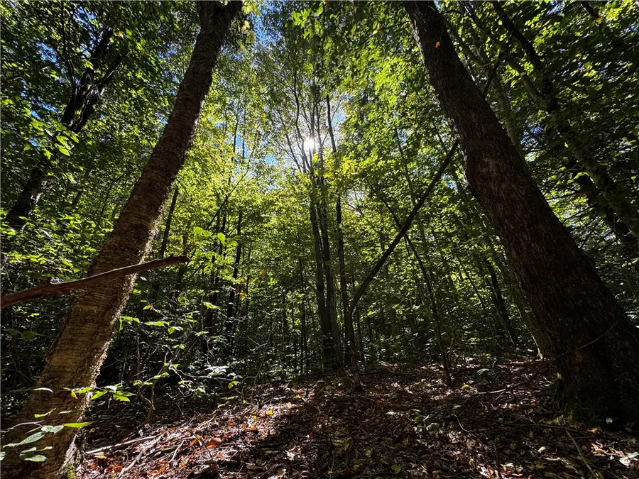 185 Kaine Road, Altmar, NY 13302 - Image #3