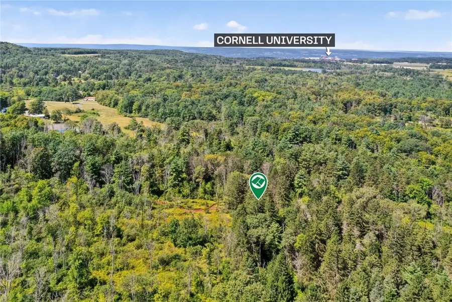 1506 Ellis Hollow Road, Ithaca, NY 14850 - Image #3