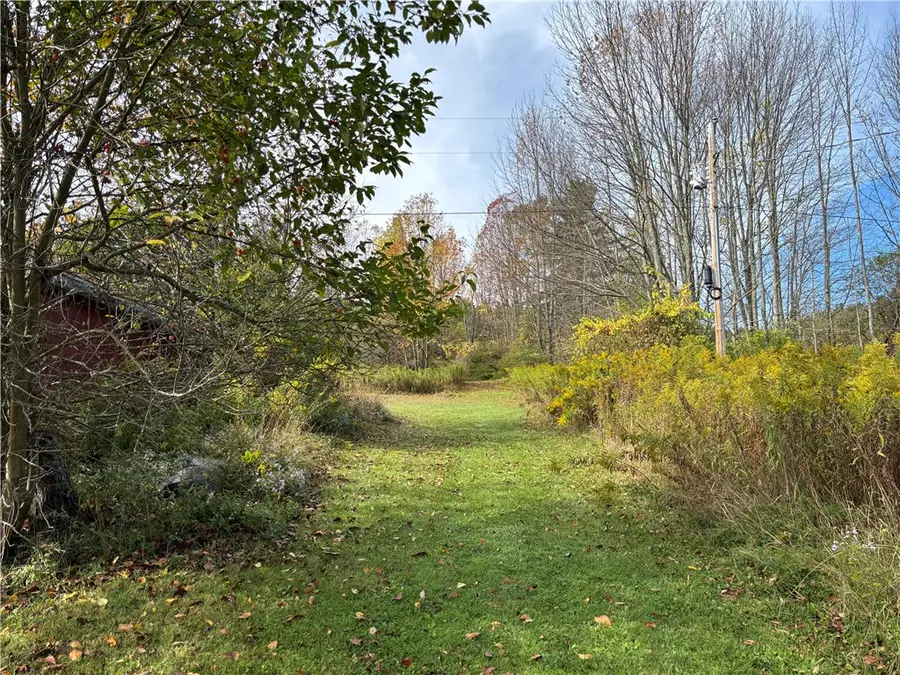 841 Mill Creek Road, Otego, NY 13825 - Image #2