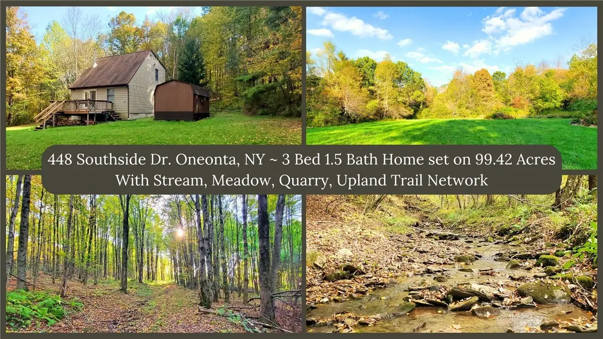 448 Southside Drive, Oneonta, NY 13820 - Image #1