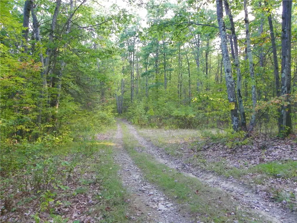 0 Hickory Hill Rd W, Bath, NY 14810 - Image #1