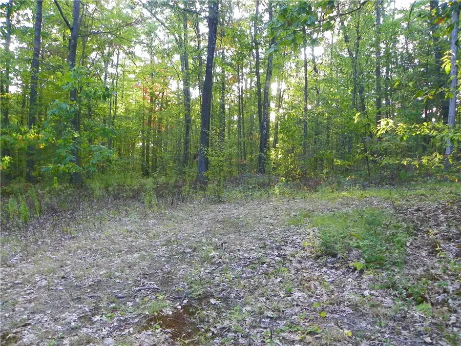 0 Hickory Hill Rd W, Bath, NY 14810 - Image #2