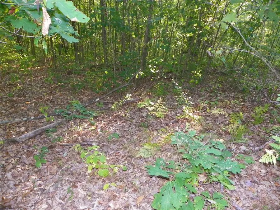 0 Hickory Hill Rd W, Bath, NY 14810 - Image #3