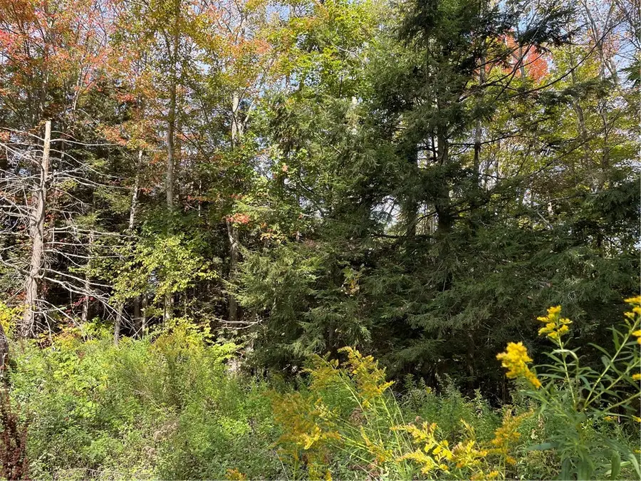 421 Welch Road, Stamford, NY 12167 - Image #3