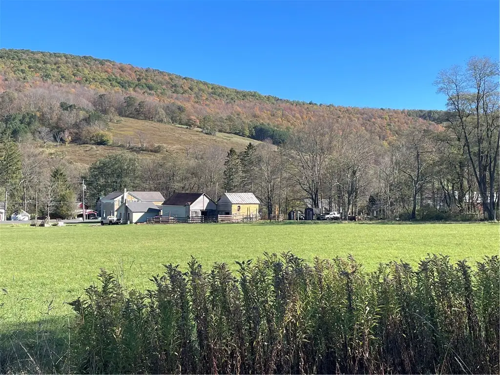 823 County Highway 34, Schenevus, NY 12155 - Image #1