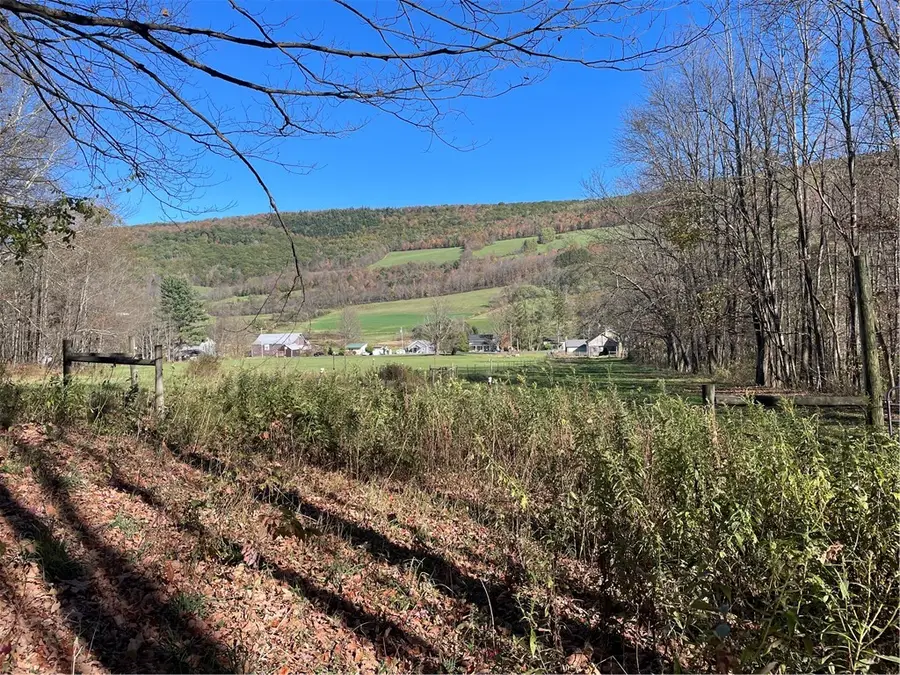 823 County Highway 34, Schenevus, NY 12155 - Image #3