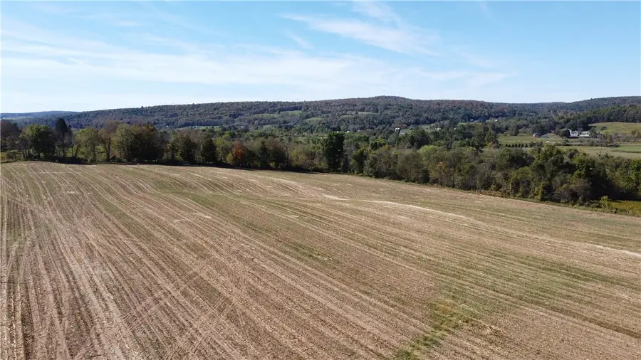 1883 County Route 32, Greene, NY 13778 - Image #3