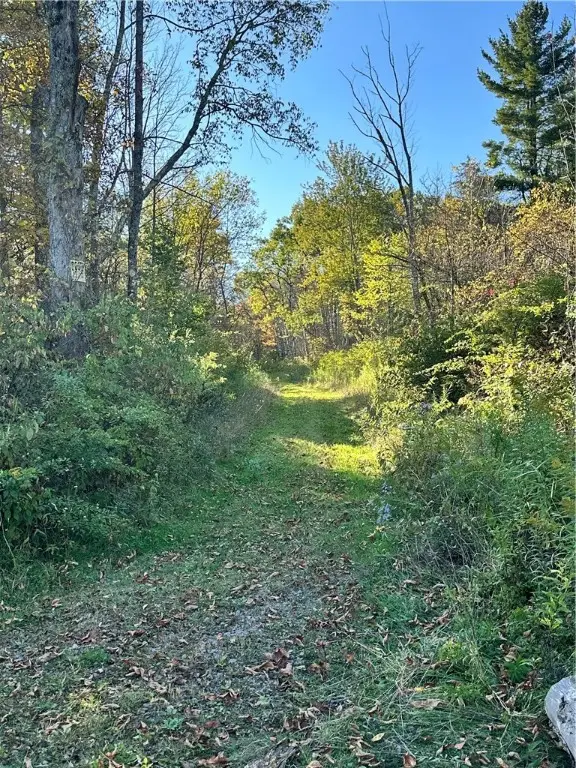 Painter Hill Road, Oxford, NY 13830 - Image #2