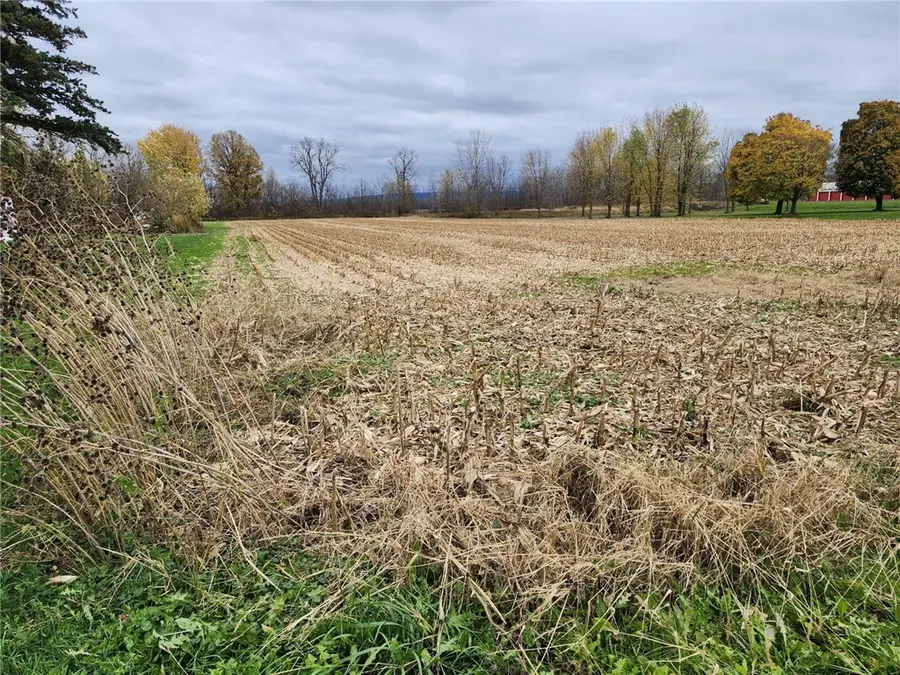 Mt Morris Geneseo Road, Mount Morris, NY 14510 - Image #2