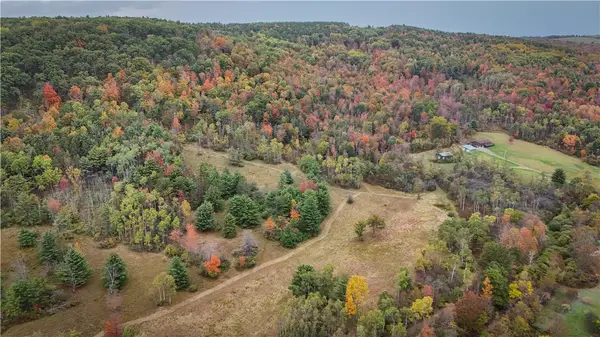 1918 Chambers Road, Beaver Dams, NY 14902