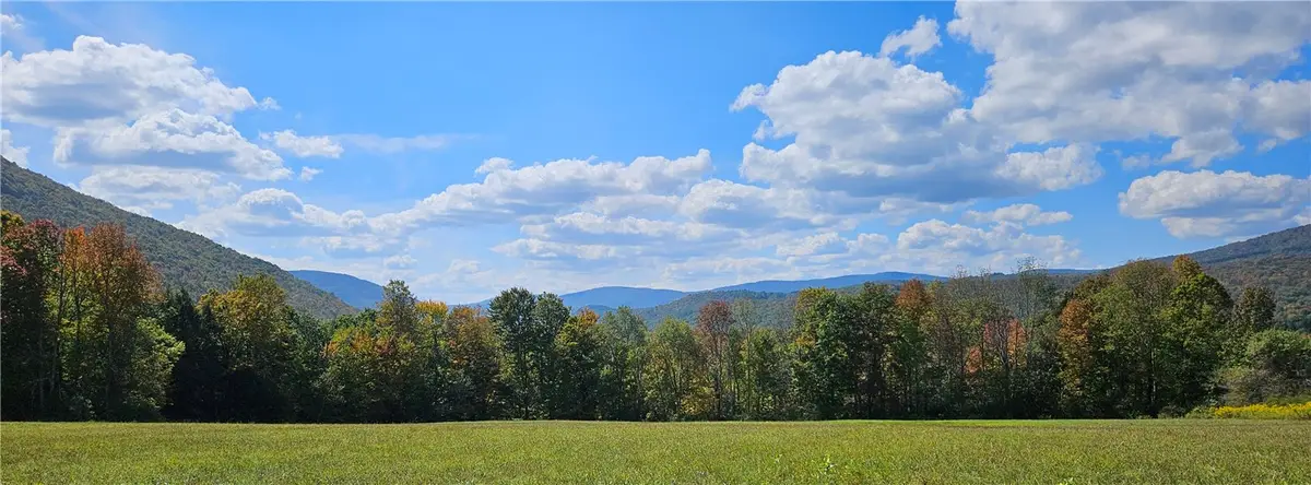 161 N Montgomery Hollow Road, Roxbury, NY 12474 - Image #1