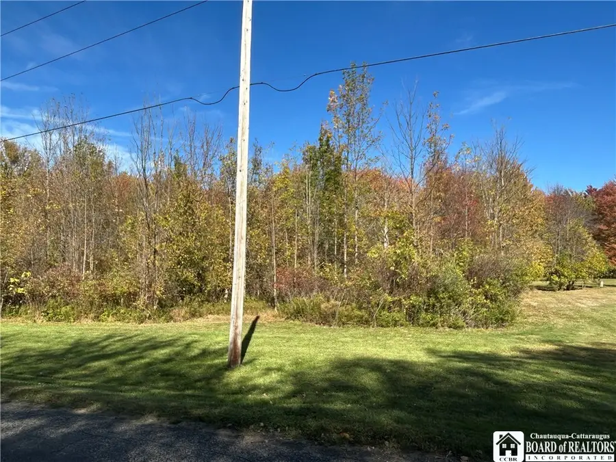 0 Gibbs, Forestville, NY 14062 - Image #3