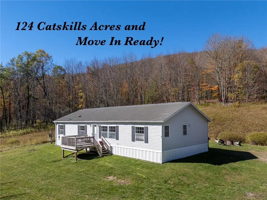 2685 Red Kill Road, Fleischmanns, NY 12430 - Image #1