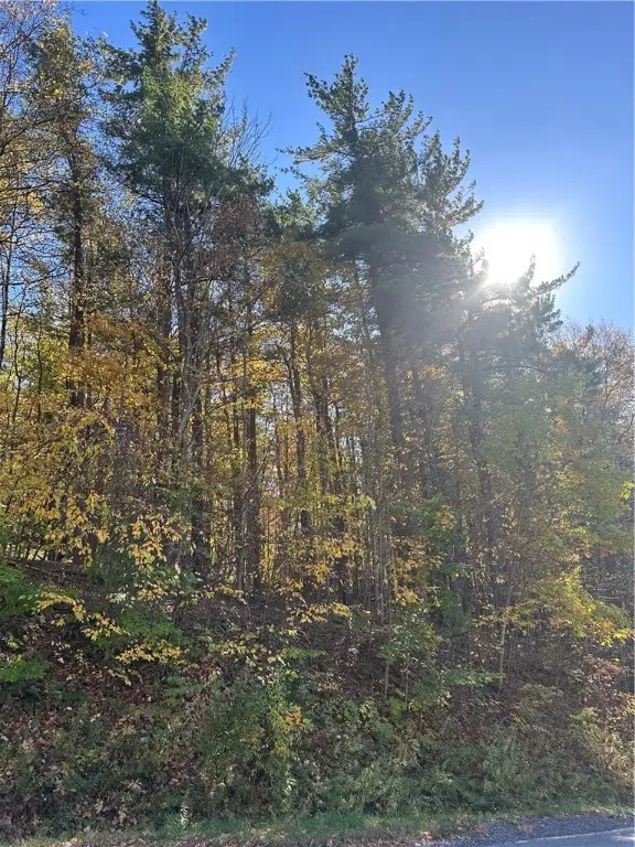 129 Hornbrook Road, Ithaca, NY 14850