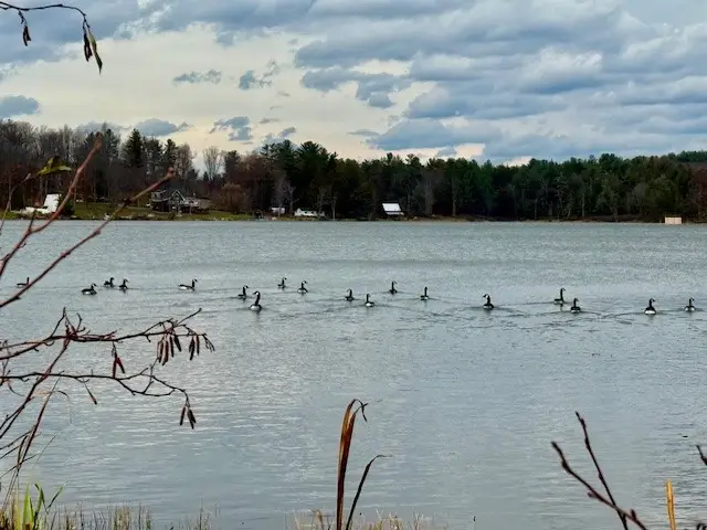 N Pond Road, Guilford, NY 13780 - Image #2