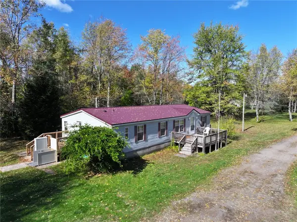13562 Jenkins Road, Red Creek, NY 13143