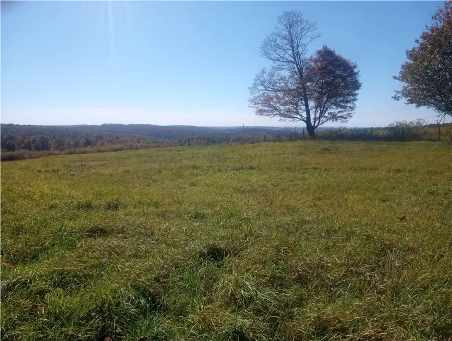 190 Austin Hill Road, Erin, NY 14838 - #2