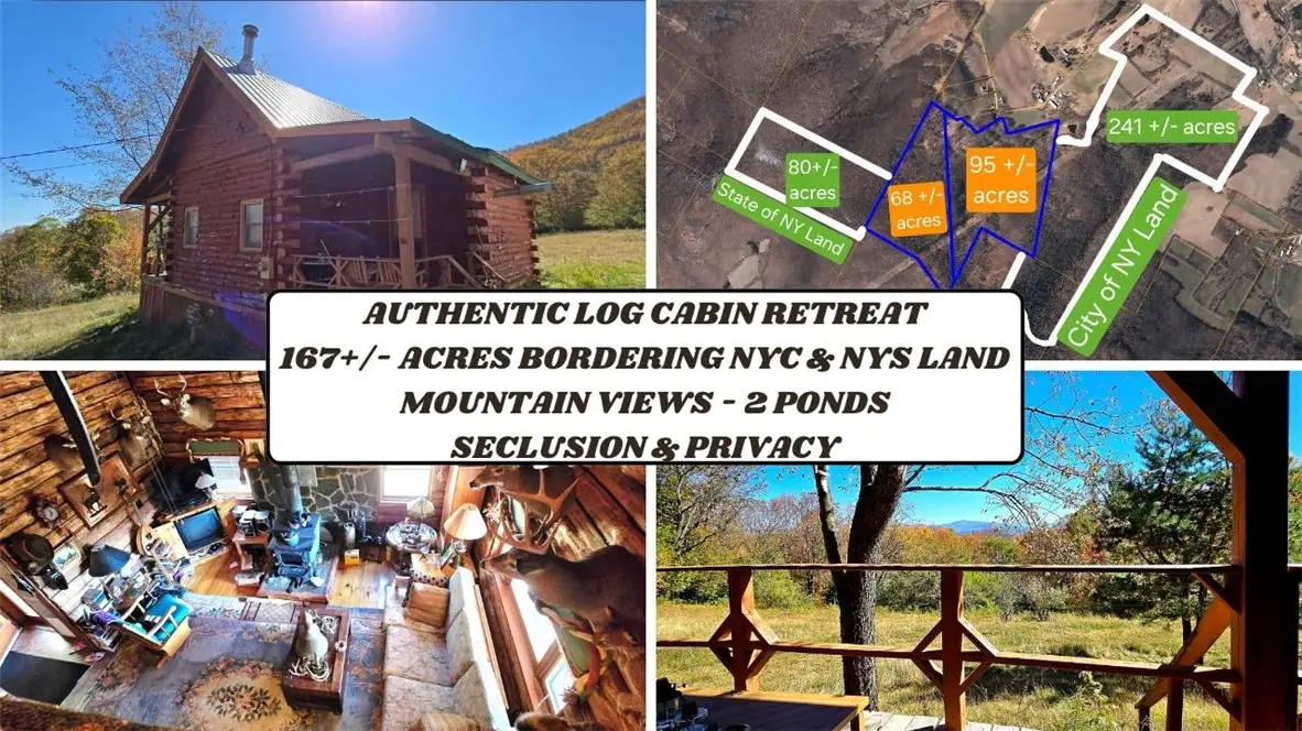 781 Charcoal Road, Stamford, NY 12167 - Image #1