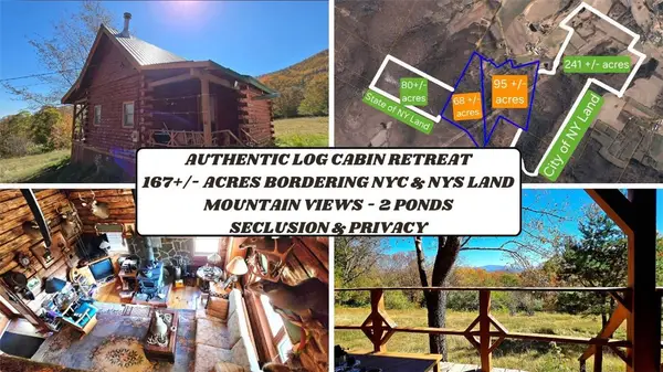 781 Charcoal Road, Stamford, NY 12167