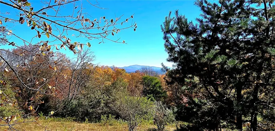 781 Charcoal Road, Stamford, NY 12167 - Image #3