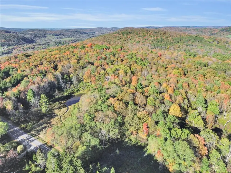 County Highway 52, Cooperstown, NY 13326 - Image #3