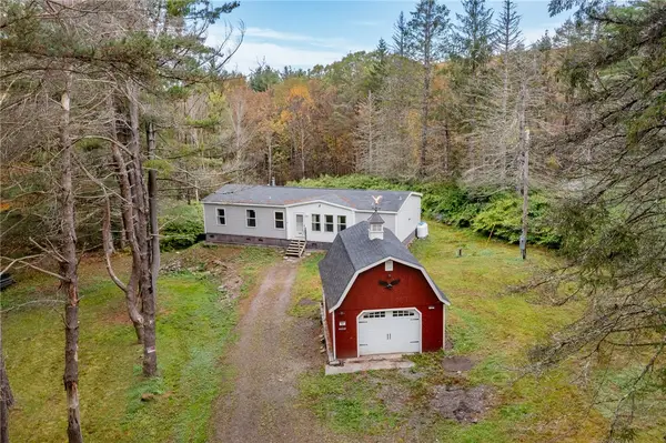 17 Billy Goat Hill Road, Windsor, NY 13865