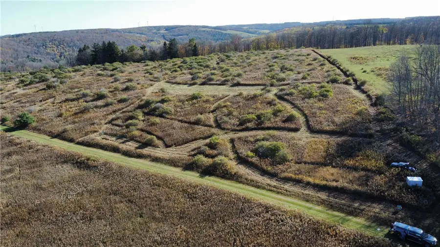 0 Snow Rd, Whitesville, NY 14897 - Image #3